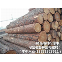 精品落叶松原木|杭州建材定做 