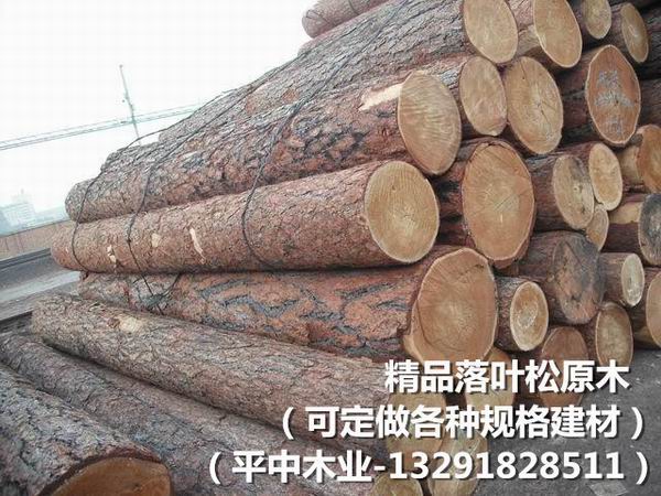 精品落叶松原木|杭州建材定做 