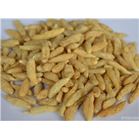 山东干麦冬销售
