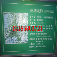 武都油橄榄良种简介