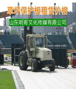 大型演唱会草坪保护板租赁@沙滩椅出租 
