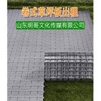 沙滩椅出租-草坪保护板出租-观众看台租赁 