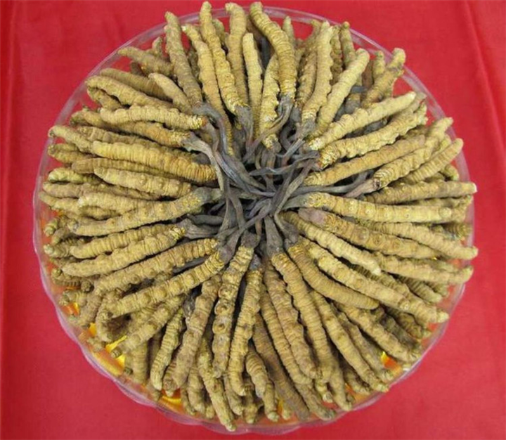 苏州冬虫夏草回收|苏州回收礼品 