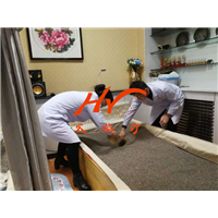 湖南益阳沙疗加盟店内部 