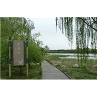 莆田路沿石施工专业团队找瑞奇建筑