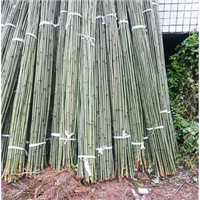 四川竹竿批发