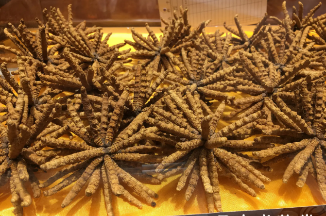 锦江区盐市口免费上门回收过期散装虫草电话