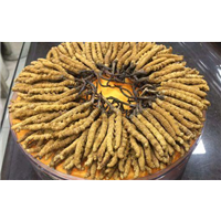 郫县合作长期回收冬虫夏草礼品店