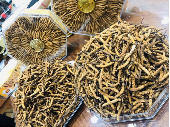 金牛区梁家巷免费上门回收过期散装虫草电话