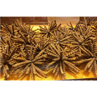 金牛区马鞍路免费上门回收过期散装虫草电话