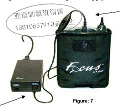 便携式家用氧气机医用吸氧机Focus2L标配