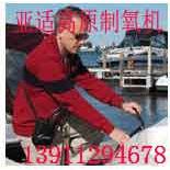 亚适制氧机Focus便携式家用--性能参数,报价/价格,... 