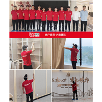 湖州大秦建筑装饰工程甲醛治理 
