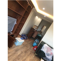 室内甲醛治理 