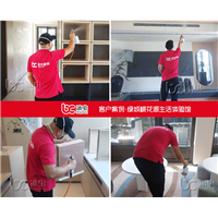 绿城桃花源生活体验馆甲醛治理 