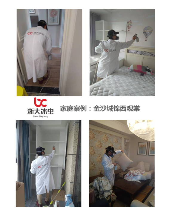 金沙城锦西观棠甲醛治理 