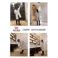 青羊万达清莲爱丽甲醛治理 