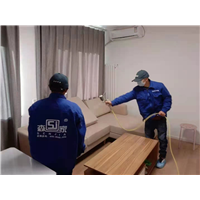 吴江除甲醛公司哪家好