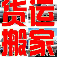 联系电话：18136362766