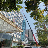 河源专业吊车租赁公司