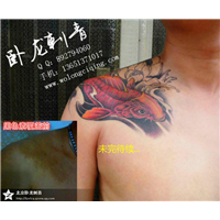 昌平纹身店|昌平纹身| 北京昌平纹身店