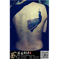 北京纹身|昌平纹身|北京昌平纹身店