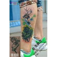 北京纹身* 昌平纹身