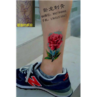昌平纹身| 北京昌平纹身店