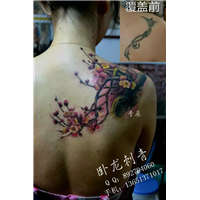 昌平纹身| 北京昌平纹身店% 昌平纹身店