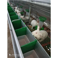 广西母兔饲料批发，广西母兔饲料出售