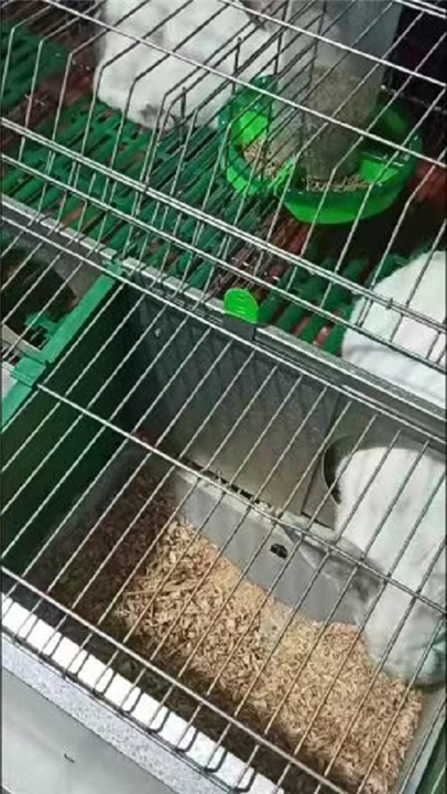 贵州兔饲料批发