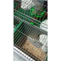 贵州兔饲料批发