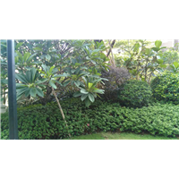 深圳水土保持方案