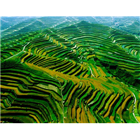 深圳水土保持