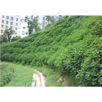 深圳水保监测