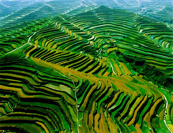 深圳水土保持