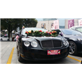 湘潭婚庆租车 