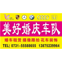 湘潭婚庆车队 