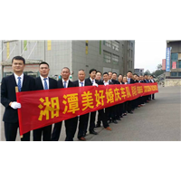 湘潭婚庆车队