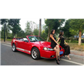 湘潭婚车 