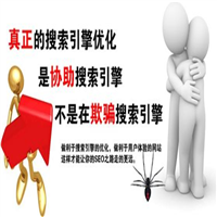 新疆SEO优化 