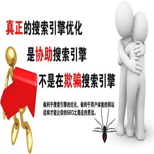 新疆SEO优化 