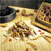 包头冬虫夏草回收