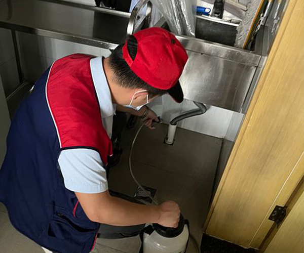 衢州灭鼠公司