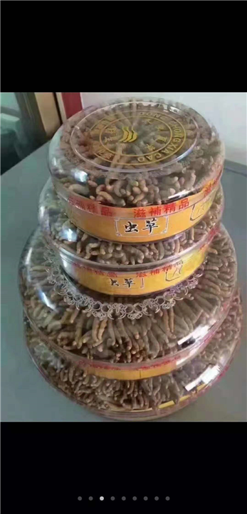 武汉冬虫夏草回收