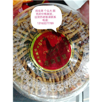武汉冬虫夏草回收 