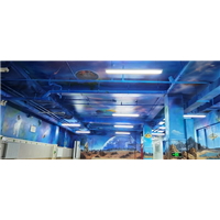 唐山星空墙绘的常见哪些问题与及解决方案 