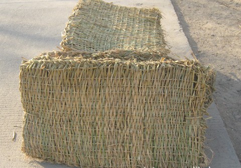 甘肃草袋-甘肃专业草袋供应商