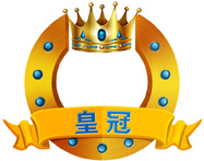 套餐五:漳州*金泉网生意通 皇冠铺 