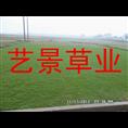 贵阳市绿化草坪 